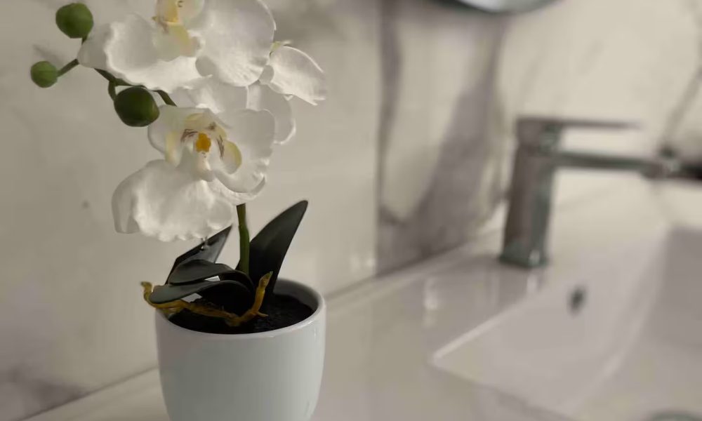 GRAO I PLATJA Grao Gandía12